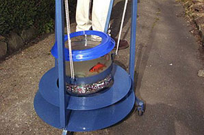 Goldfish_Walker_Petplan